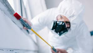 Best Pest Exclusion Services  in Louise, TX